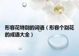 形容花特别的词语（形容个别花的成语大全）