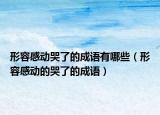 形容感动哭了的成语有哪些（形容感动的哭了的成语）
