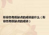 形容各有优缺点的成语是什么（形容各有优缺点的成语）