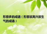 形容多的成语（形容该高兴该生气的成语）