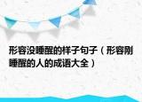 形容没睡醒的样子句子（形容刚睡醒的人的成语大全）