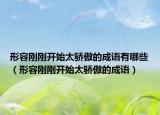 形容刚刚开始太骄傲的成语有哪些（形容刚刚开始太骄傲的成语）