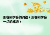 形容刚学会的词语（形容刚学会一点的成语）