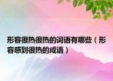 形容很热很热的词语有哪些（形容感到很热的成语）
