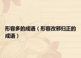 形容多的成语（形容改邪归正的成语）