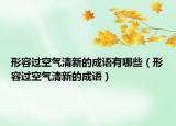 形容过空气清新的成语有哪些（形容过空气清新的成语）