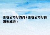 形容公司好的词（形容公司好有哪些成语）