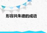 形容共朱德的成语