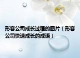 形容公司成长过程的图片（形容公司快速成长的成语）