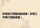 形容按计划推进的成语（形容工作有计划的成语）