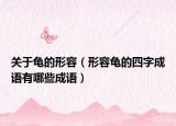 关于龟的形容（形容龟的四字成语有哪些成语）