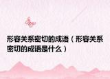 形容关系密切的成语（形容关系密切的成语是什么）