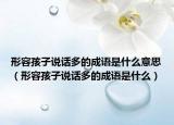 形容孩子说话多的成语是什么意思（形容孩子说话多的成语是什么）