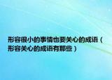 形容很小的事情也要关心的成语（形容关心的成语有那些）