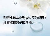 形容小孩从小到大过程的成语（形容过程复杂的成语）