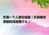 形容一个人跟你很像（形容跟你很像的成语是什么）