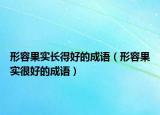 形容果实长得好的成语（形容果实很好的成语）