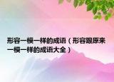 形容一模一样的成语（形容跟原来一模一样的成语大全）