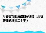 形容害怕的成语四字词语（形容害怕的成语二个字）