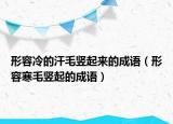 形容冷的汗毛竖起来的成语（形容寒毛竖起的成语）