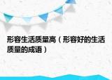 形容生活质量高（形容好的生活质量的成语）