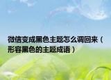 微信变成黑色主题怎么调回来（形容黑色的主题成语）