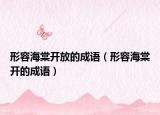 形容海棠开放的成语（形容海棠开的成语）