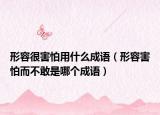 形容很害怕用什么成语（形容害怕而不敢是哪个成语）