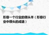 形容一个行业的领头羊（形容行业中领头的成语）