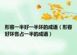 形容一半好一半坏的成语（形容好坏各占一半的成语）