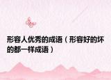 形容人优秀的成语（形容好的坏的都一样成语）