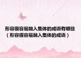 形容很容易融入集体的成语有哪些（形容很容易融入集体的成语）