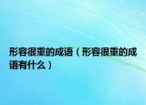 形容很重的成语（形容很重的成语有什么）