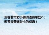 形容非常渺小的词语有哪些?（形容很普通渺小的成语）