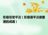 形容非常平淡（形容很平淡很普通的成语）