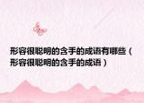 形容很聪明的含手的成语有哪些（形容很聪明的含手的成语）