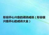 形容开心兴奋的词语成语（形容很兴奋开心的成语大全）