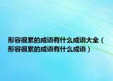 形容很累的成语有什么成语大全（形容很累的成语有什么成语）