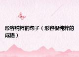 形容纯粹的句子（形容很纯粹的成语）