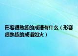 形容很熟练的成语有什么（形容很熟练的成语如火）