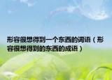 形容很想得到一个东西的词语（形容很想得到的东西的成语）