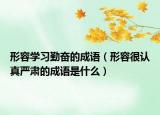 形容学习勤奋的成语（形容很认真严肃的成语是什么）