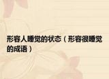 形容人睡觉的状态（形容很睡觉的成语）