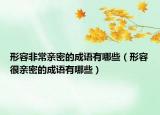 形容非常亲密的成语有哪些（形容很亲密的成语有哪些）