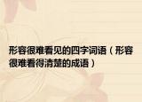 形容很难看见的四字词语（形容很难看得清楚的成语）