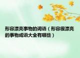 形容漂亮事物的词语（形容很漂亮的事物成语大全有哪些）