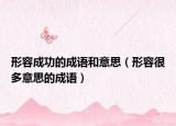 形容成功的成语和意思（形容很多意思的成语）