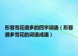 形容雪花很多的四字词语（形容很多雪花的词语成语）