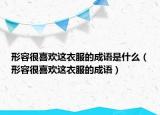 形容很喜欢这衣服的成语是什么（形容很喜欢这衣服的成语）