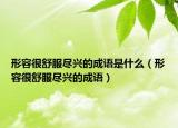 形容很舒服尽兴的成语是什么（形容很舒服尽兴的成语）